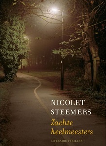 Mailen met Nicolet Steemers cover