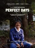 perfect days cover